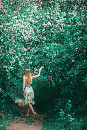 Young woman in forest on a background of green foliage. Fashion for womanの写真素材