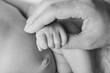 baby hands close up on white and black backgroundの写真素材