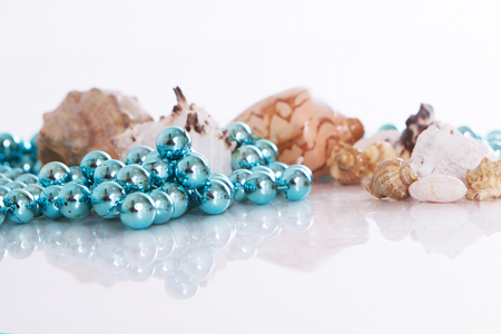 shells and blue beads on a white background. Isolated photoの写真素材