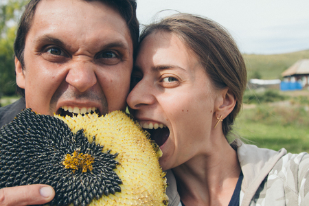 a man and a woman make a selfie with a sunflower. People greedily eat seedsの写真素材