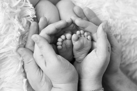 baby feet close up in white and balck coloursの写真素材