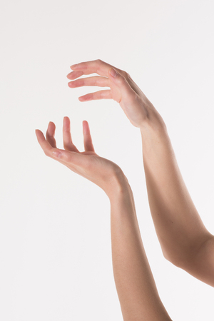 two women's hands on a white background. Empty hand isolated on whiteの写真素材