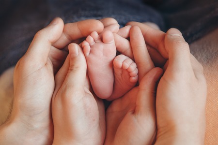 Newborn Baby's feet.Mother holding newborn baby legs,legs massageの写真素材