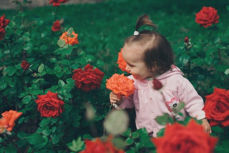 a little girl walks among the flowers. child in rosesの写真素材
