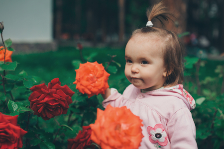 a little girl walks among the flowers. child in rosesの写真素材