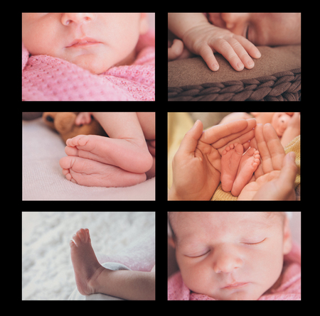 collage of six photos of newborn baby: legs, hands, faceの写真素材