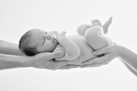 newborn baby lying on the hands of parentsの写真素材