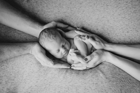 newborn baby lying on the hands of parentsの写真素材