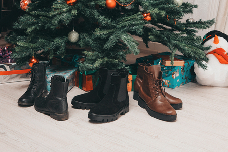 Three pairs of men's leather shoes arranged under the Christmas tree.の写真素材