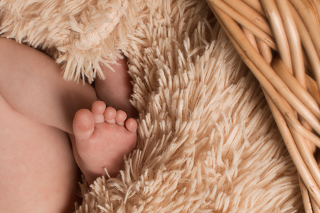 baby feet close up: feet and fingersの写真素材