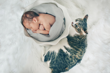 newborn baby, wrapped in a blanket, sleeping in a basket, lying next to the catの写真素材