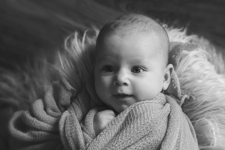 newborn baby sleeps wrapped in a blanketの写真素材