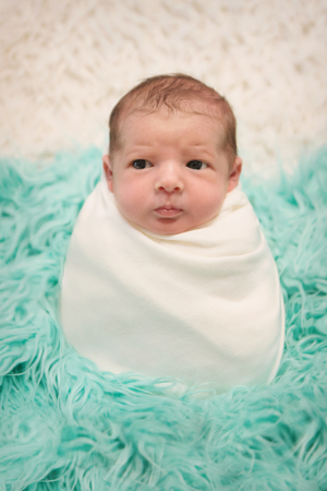 newborn baby sleeps wrapped in a blanketの写真素材