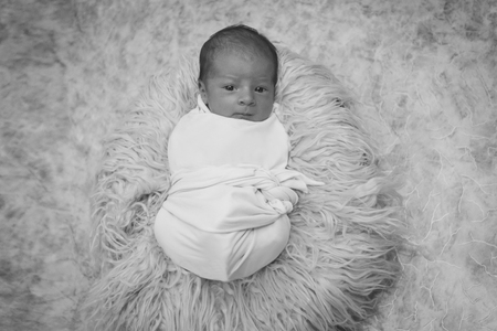 newborn baby wrapped in a blanket sleeping in a basketの写真素材