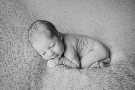 naked newborn baby sleeping curled up in a ballの写真素材