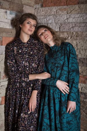 advertising of fashion for woman: dress, shoes. two happy girls smiling. Portrait of women hugging. The concept of relationships in the family, friends, sisters, couple in love.の写真素材