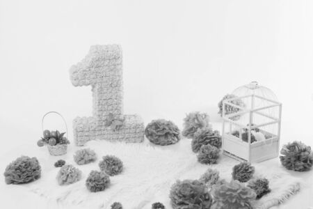 the concept of a festive interior, attributes of a holiday, decorative elements: number one, flowers, a cage for birds on a white background. Pink and yellowの写真素材