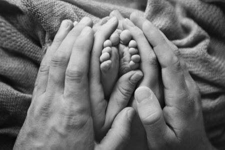 Newborn Baby's feet.Mother holding newborn baby legs,legs massageの写真素材