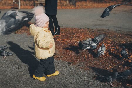 a little child chasing pigeons. Girl feeding birds. Concept of childhood, street gamesの写真素材