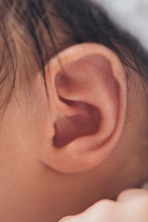 newborn baby's ear close upconcept of childhood, health care, IVF, hygiene