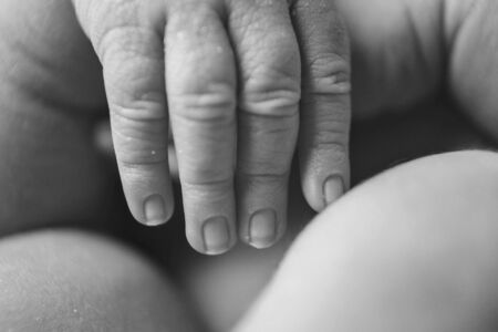 Baby's hand, fingers close up. newborn baby arms, massage concept of childhood, health care, IVF, hygieneの写真素材
