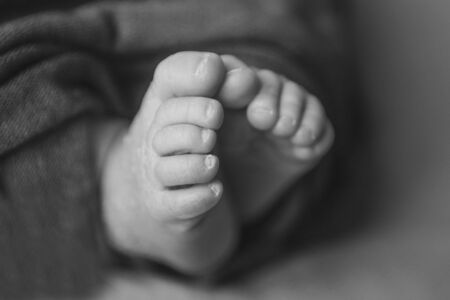 Newborn Baby's feet. legs massage concept of childhood, health care, IVF, hygieneの写真素材