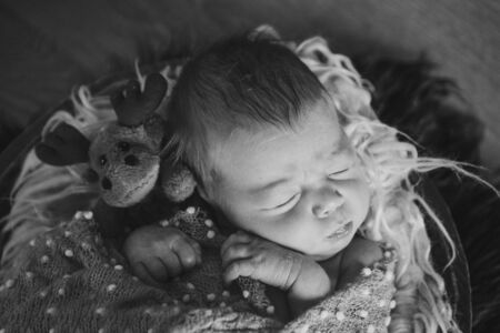 newborn baby sleeping with doll. Imitation of a baby in the womb. Portrait of newborn. with moose. Health care concept, parenthood, children's Day, medicine, IVFの写真素材