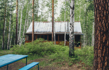 summer wooden house in a birch grove. camping in the woods. tourist base for travelers' recreation. eco-friendly constructionの写真素材