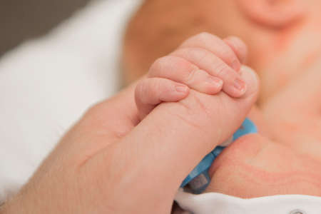Newborn Baby's hand. Mother and father holding newborn baby arm