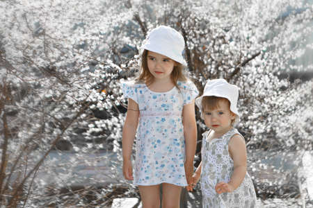 a happy child walks among the white flowers. Love, sunshine, and spring blooming. a girls in a panama hat and a dressの写真素材