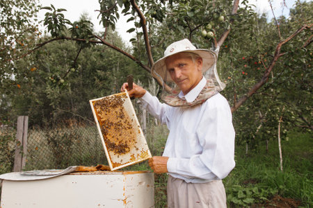 collect honey: honeycomb close-up. Beekeeping works: bees, honeycombs, honeyの写真素材