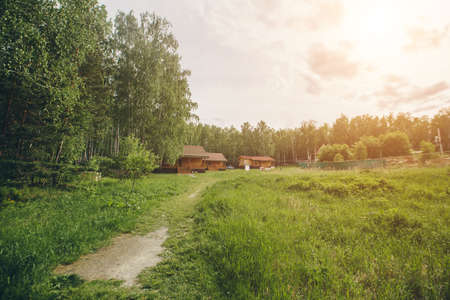 summer wooden house in a birch grove. camping in the woods. tourist base for travelers' recreation. eco-friendly constructionの写真素材