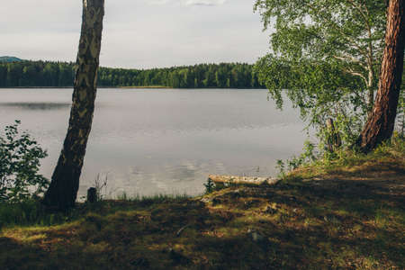 the concept of weather observation, meteorology. wind and small waves. Landscape by the river, trees...