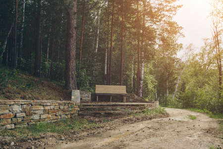 View of the gazebo by the lforest. recreation areaの写真素材
