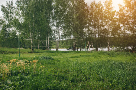View of the playground by the forest. recreation areaの写真素材