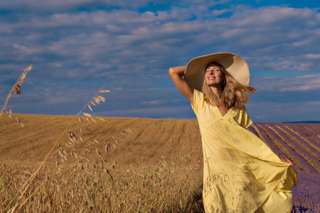 Harvest: ripe wheat grows in the field. The golden grain and the girl are walking through the field. the hot sun strokes the skinの写真素材
