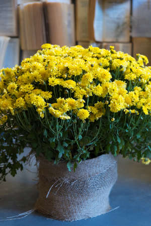 The Wild flowers in a vase, bouquetの写真素材