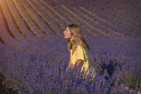 a girl in a yellow dress on a lavender fieldの写真素材