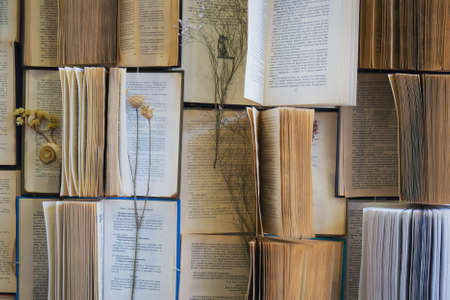backgrounds: many open books. Dried flowers inside. Art objectの写真素材