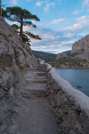 stone road in the mountains against the backdrop of a calm sea. Rocks and trees at sunset, blue sky. Evening relaxation, relaxation, meditation. Wallpaper and screensaver. High quality photoの写真素材