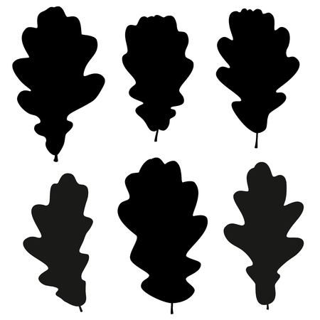 Set of vector black oak leaves outline on the white background for your designのイラスト素材