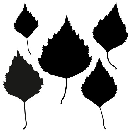 Set of vector black birch leaves outline on the white background for your designのイラスト素材