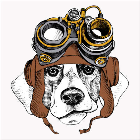 vector dog  funny illustrationのイラスト素材