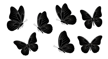 solid black colour silhouettes isolated on plain white background.のイラスト素材