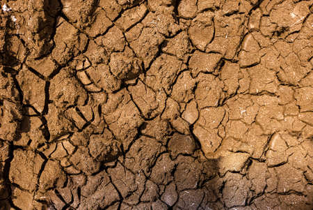 Dry black cotton soil in summer season. Broken soil, dry soil pattern texture.の写真素材