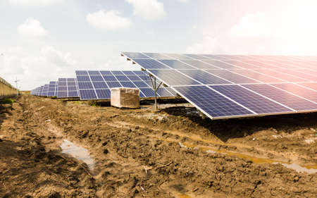 Side view of Installed row of Photovoltaic solar panels / modules at solar power station. Clear sky sunny day clear view. Black cotton soilの写真素材