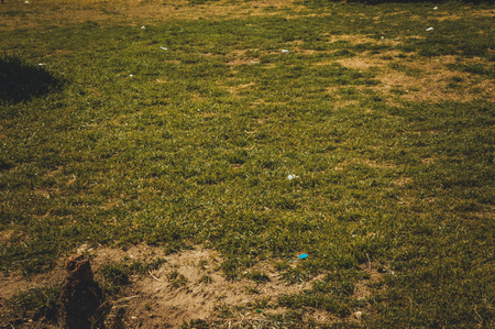 green grass backgroundの写真素材