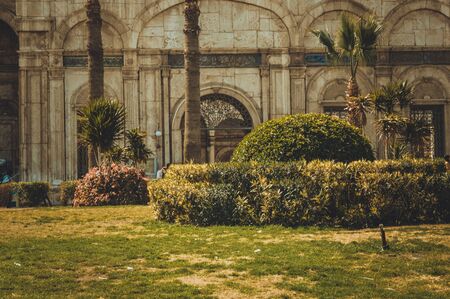 garden at cairo citadel, egyptのeditorial素材