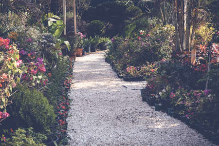 white stones road in a gardenの写真素材