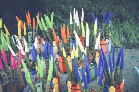 colorful plants spring backgroundの写真素材